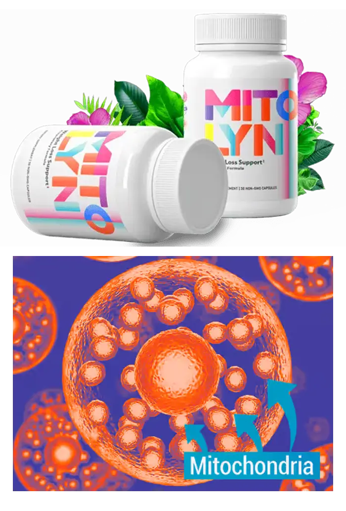 Mitolyn Supplement